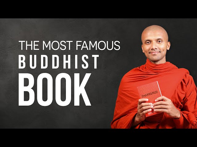 Best Buddhism Books for Every Stage of the Journey